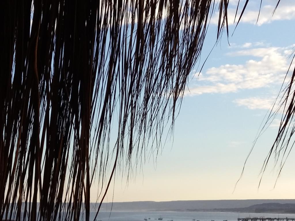 Lapa Lapa Lobitos Bungalows 호텔 외부 사진