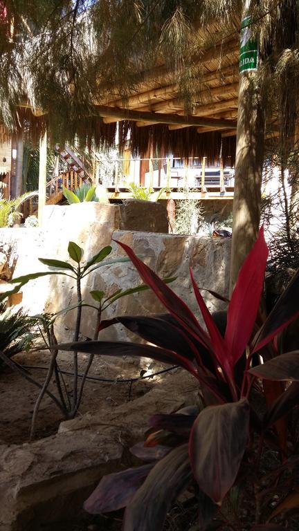 Lapa Lapa Lobitos Bungalows 호텔 외부 사진
